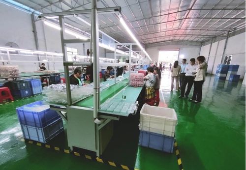 砥礪奮進啟新程，鄉村振興謀新篇——浛洸鎮張陂村玩具加工廠隆重開業